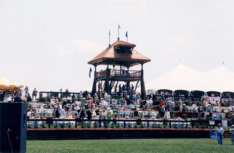 Steeplechase