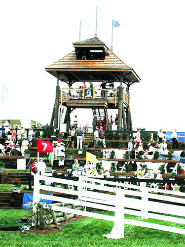 Steeplechase